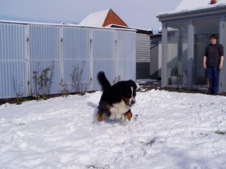 Bilbo i sneen påsken 24-03-2008