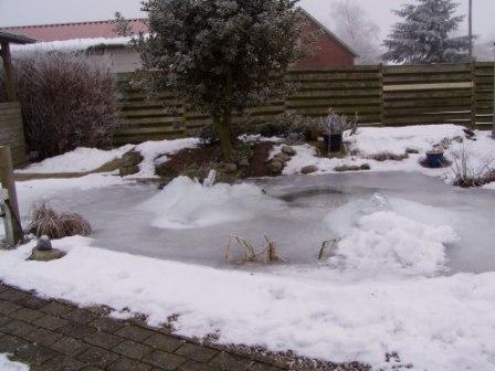 Havedam vinter 2006